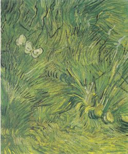 Twee witte vlinders door Vincent van Gogh